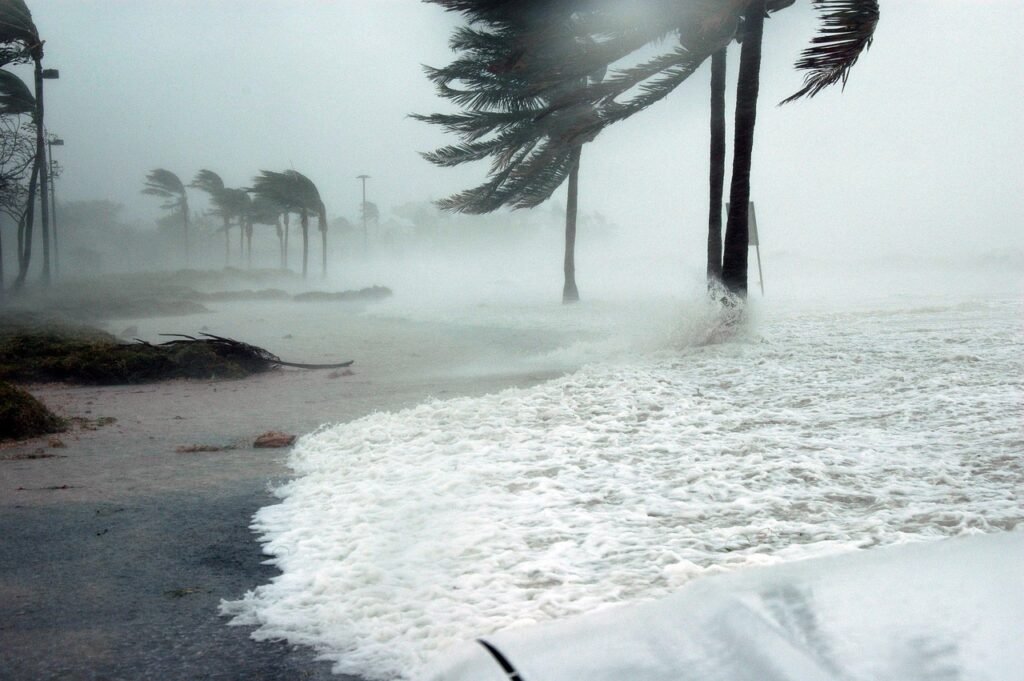 key west, florida, hurricane, dennis, storm, surge, water, raining, wind, blowing, dangerous, sea, ocean, nature, palm trees, beach, weather